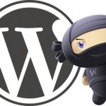 Use the WooCommerce API to Customize Your Online Store